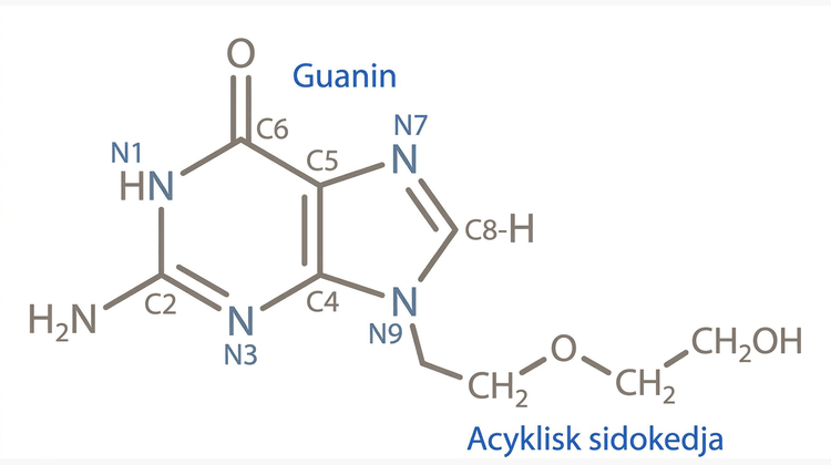 Strukturformel för aciklovir, en acyklisk guanosinanalog