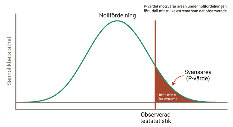 Nollfördelning med p-värde och kritiskt område i ett ensidigt hypotestest
