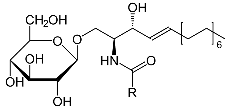 Strukturformel för beta-D-glukosylceramid